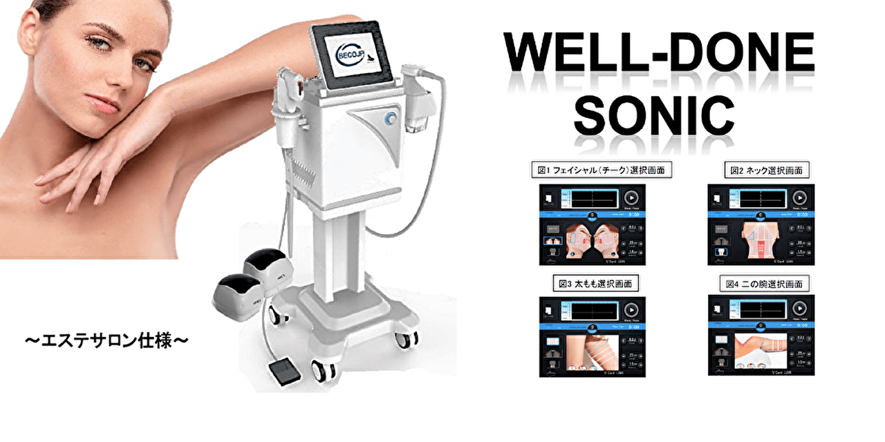 ウエルダンソニック