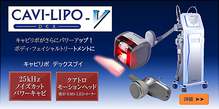 キャビリポロＤＥＸＶ